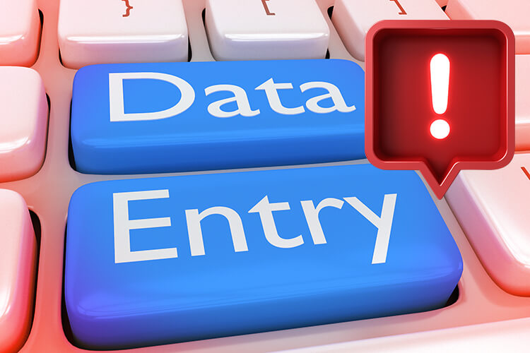Decorative cover image: computer keys labeled Data Entry, along with an alert icon.