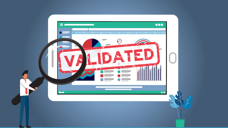 diagram of man holding giant magnifying glass in front of spreedsheet validation on a tablet